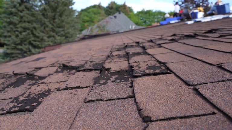 Best Storm Damage Roof Repair  in Marlboro Meadows, MD